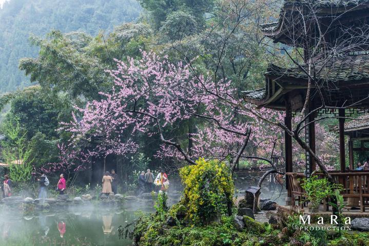 拯救巧虎4